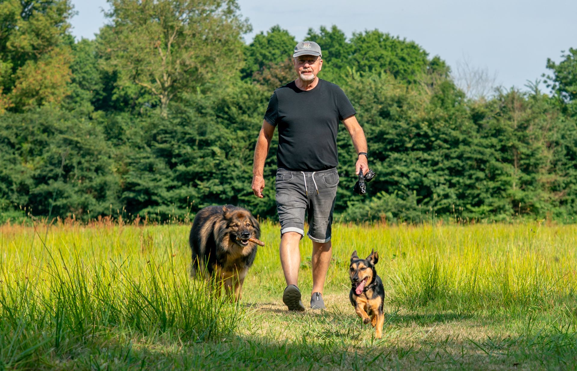 Ad Schulting wandelt met honden door het bos
