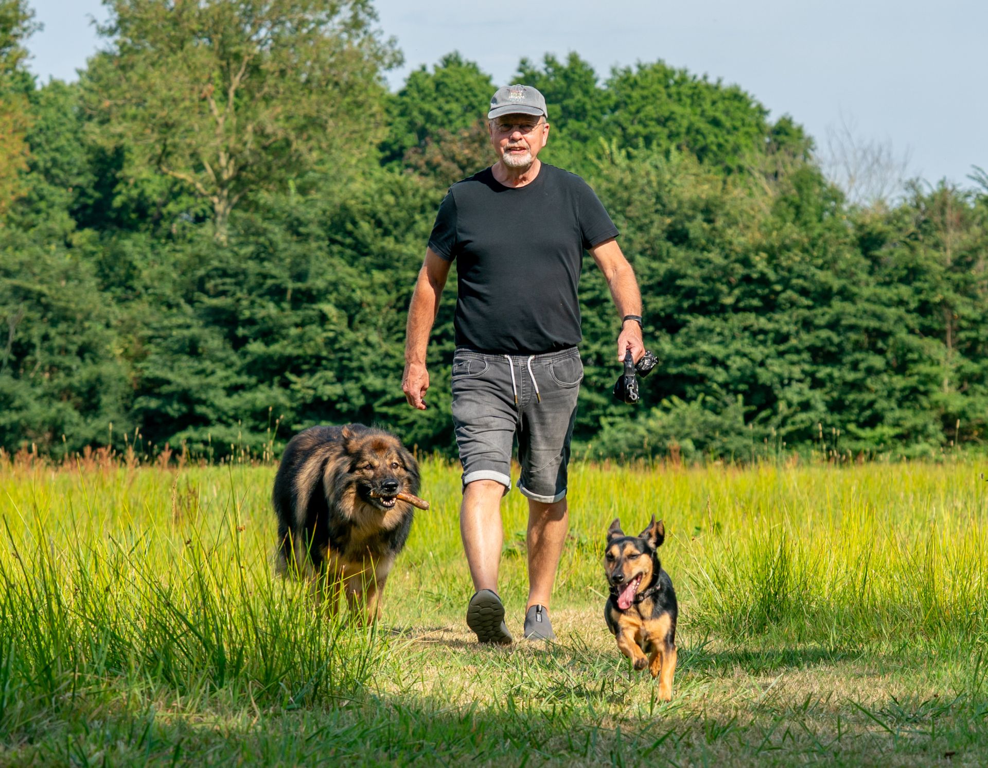 Ad Schulting wandelt met honden door het bos