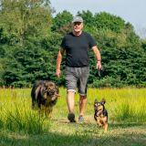 Ad Schulting wandelt met honden door het bos